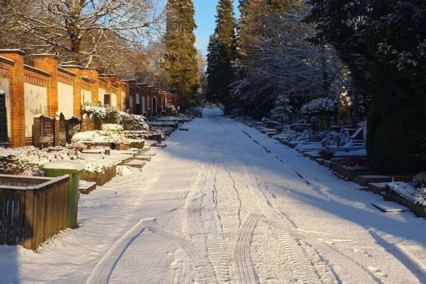 A snow-covered street lined with brick houses and trees. 5