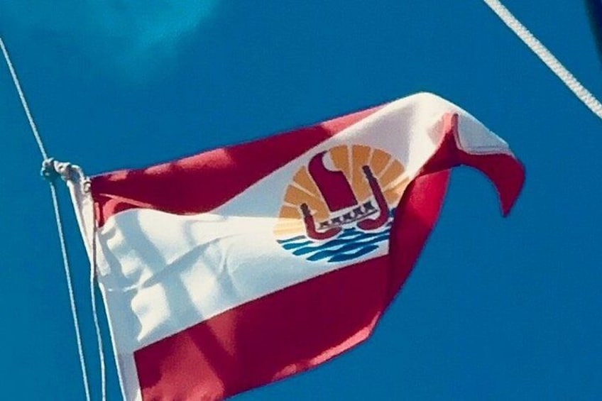 A flag with a sun, waves, and a bird emblem. 4