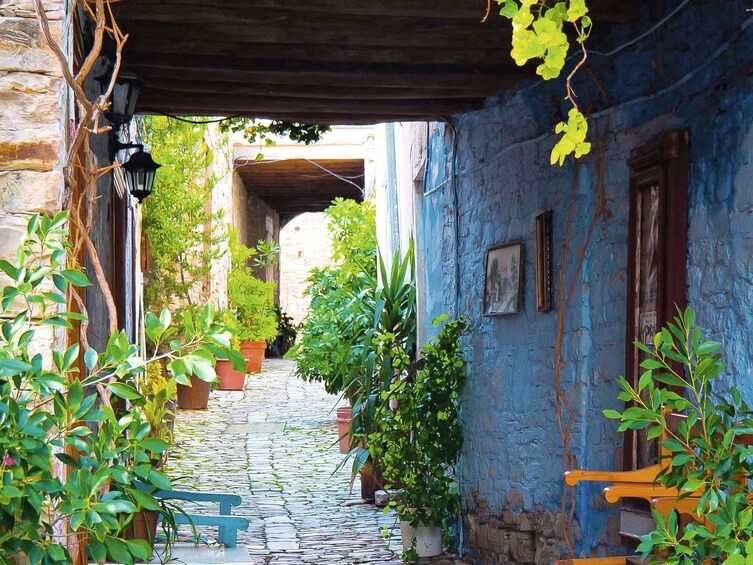Lefkara and Nicosia guided walking tour from Paphos 4