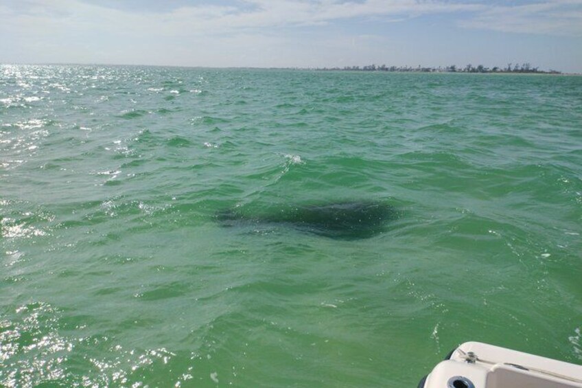 A body of water with a boat in the foreground and a distant shoreline. 5