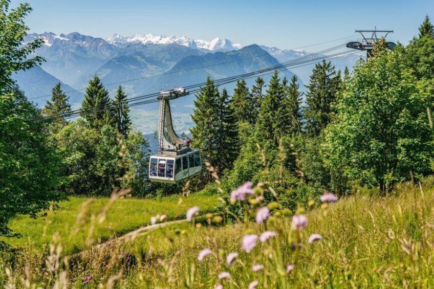Mount Rigi Day Pass with Cogwheel Train and Cable Car 4