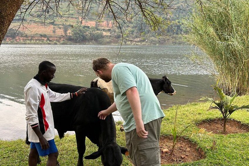 Two people interacting with a black cow by a lake. 3