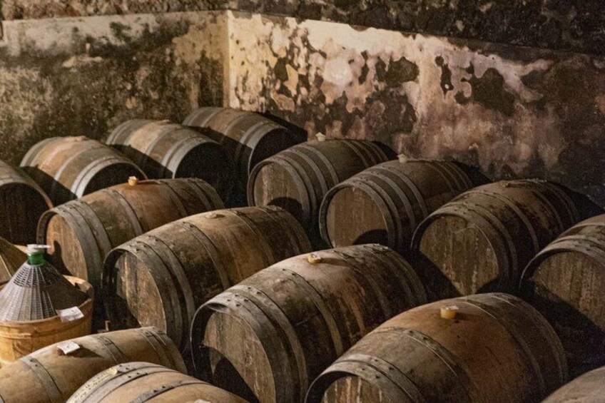 Gambellara Terroir Experience Between Volcano Vineyards and Wines 3