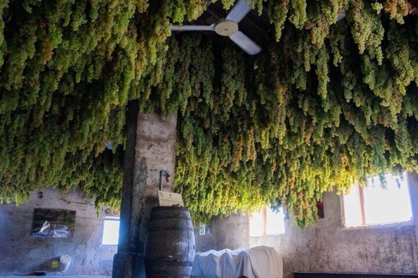 Gambellara Terroir Experience Between Volcano Vineyards and Wines 5