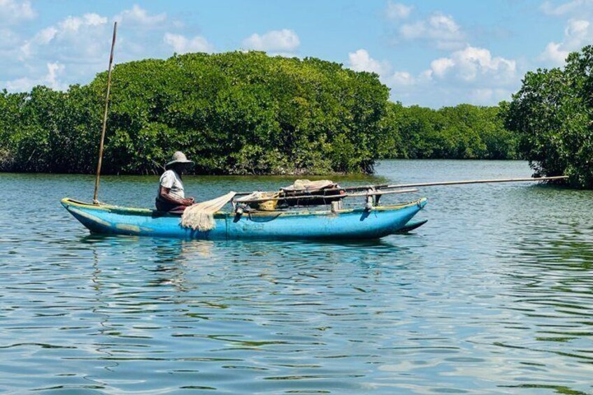 Muthurajawela Birdwatching Private Tour from Negombo 2