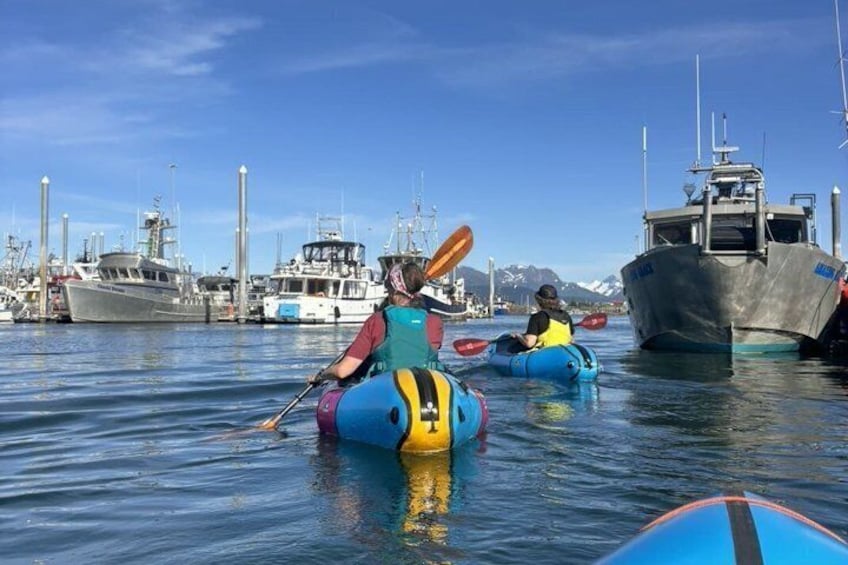Homer Harbor Paddle 1