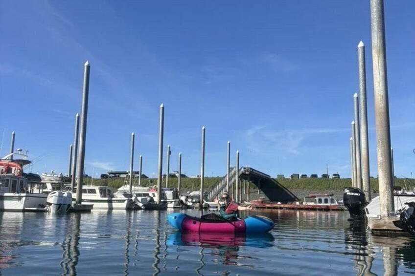 Homer Harbor Paddle 2