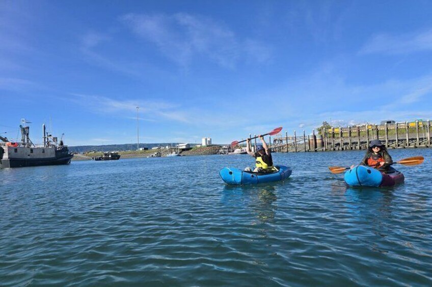 Homer Harbor Paddle 5