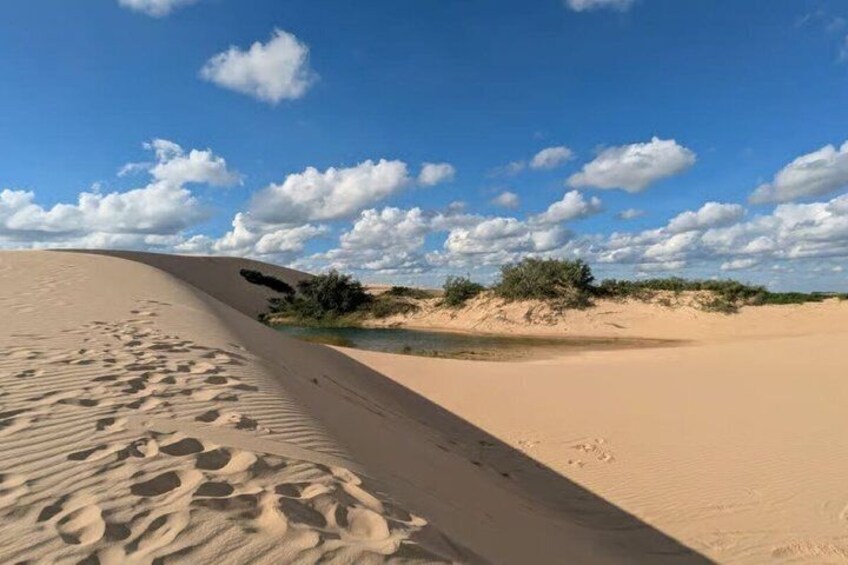 Sandboarding Tour Santa Cruz 2