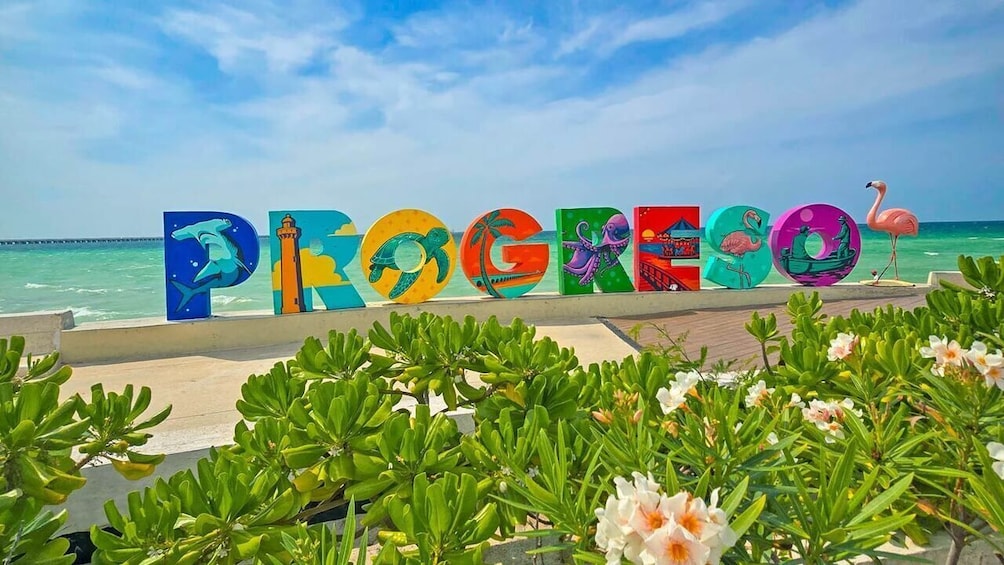 Colorful letters spelling 'PROGRESSO' with marine life illustrations, set against a beach backdrop. 5