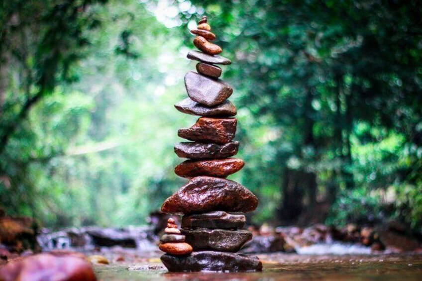 A stack of stones in a forest. 1