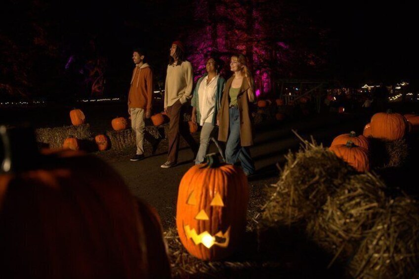A nighttime scene with illuminated pumpkins and hay bales, likely at a fall festival. 4