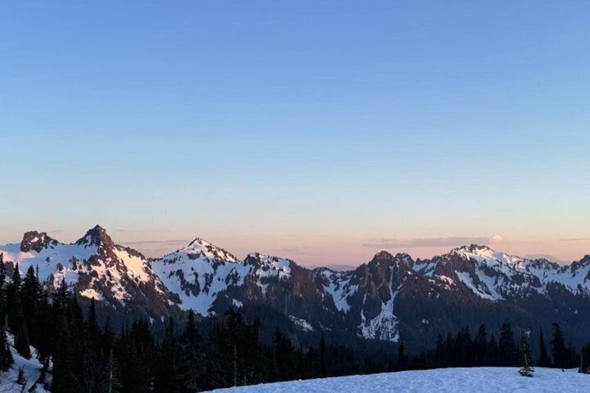 From Seattle to Mt Rainer with Sprinter Van Shared Tour 4