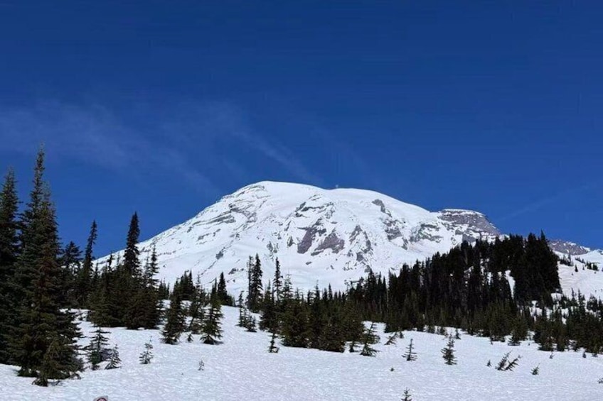 From Seattle to Mt Rainer with Sprinter Van Shared Tour 3