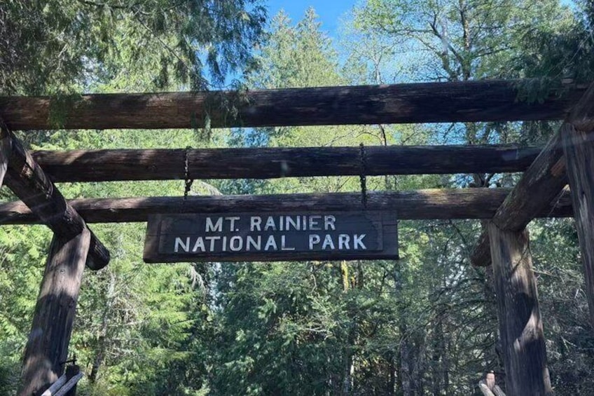 From Seattle to Mt Rainer with Sprinter Van Shared Tour 5