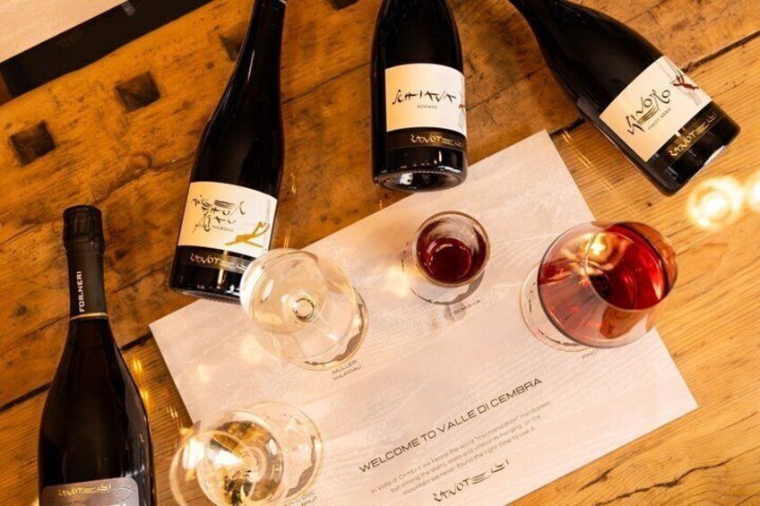 Discover the Cembra Valley in 4 Wines and Snacks of Taralli 1