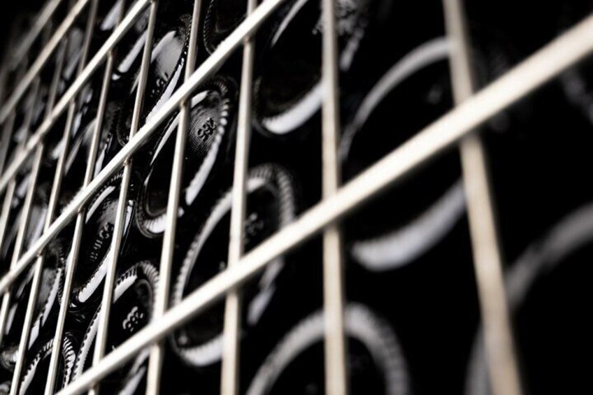 Discover the Cembra Valley in 4 Wines and Snacks of Taralli 2