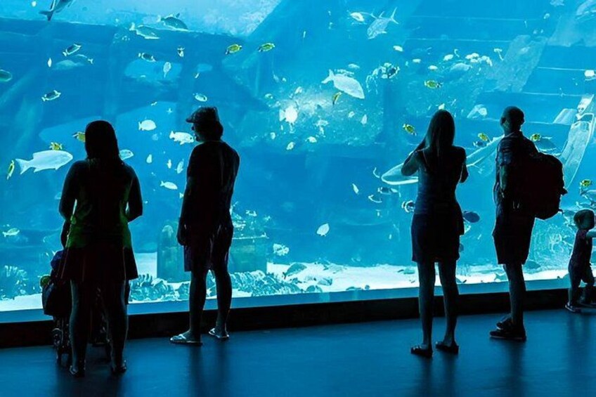 People observing fish in an aquarium. 2