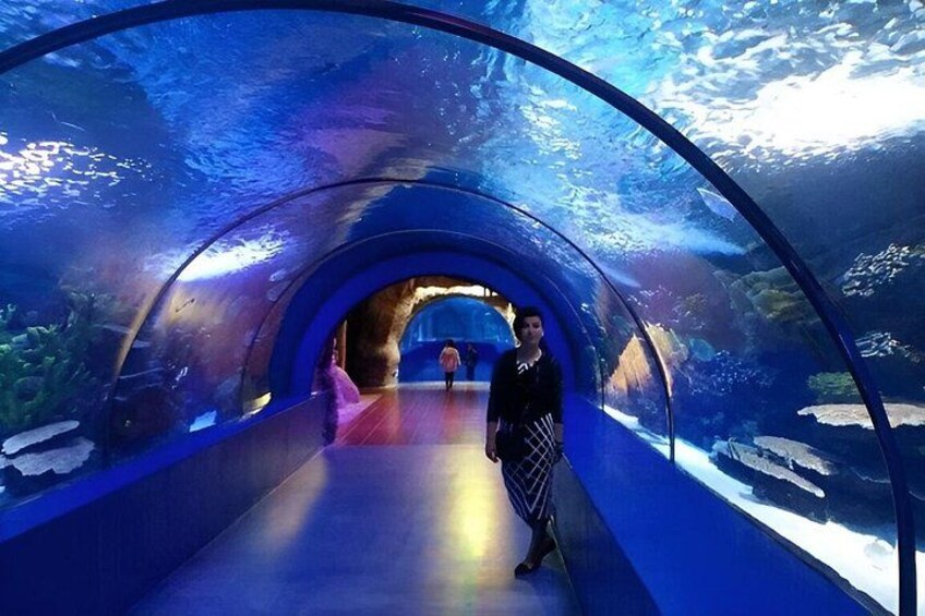 A tunnel with an aquarium on both sides, a person walking inside, and a pink chair in the distance. 5
