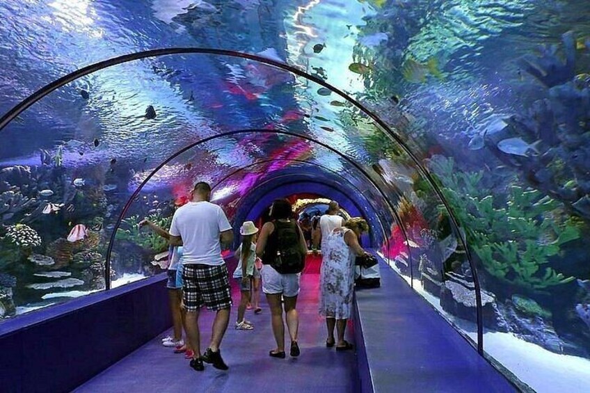 An underwater tunnel with visitors. 1