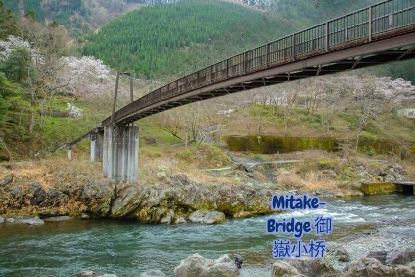 1 Day Hidden Tokyo nature Adventure 5