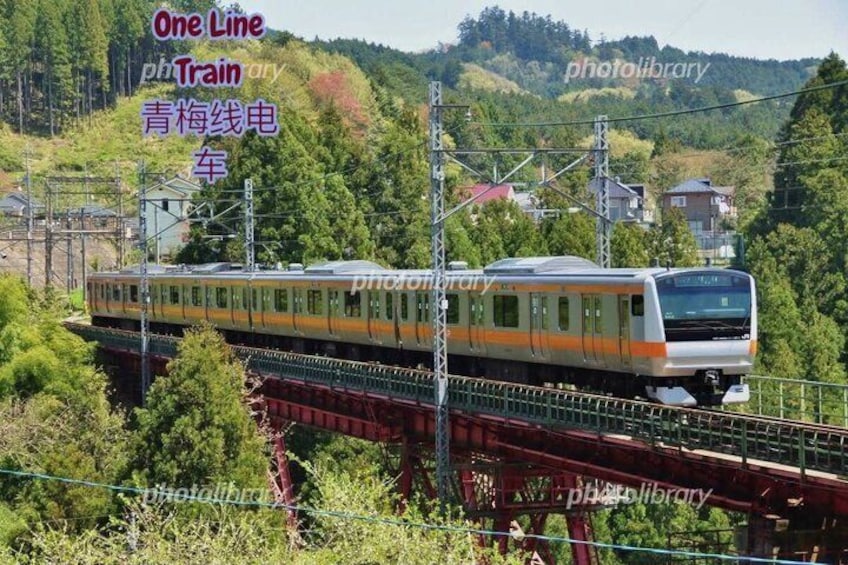 1 Day Hidden Tokyo nature Adventure 1