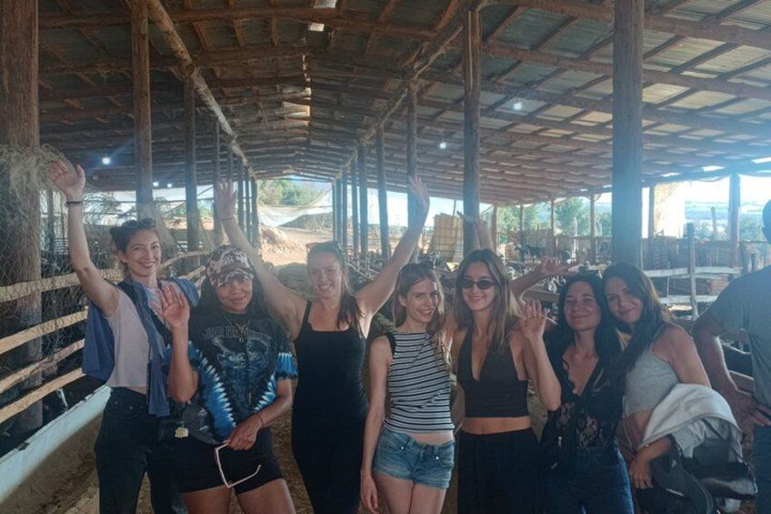 A group of people under a wooden shelter with hay bales on the ground. 3