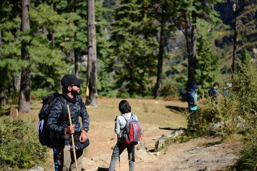 A forested hiking trail with hikers. 5
