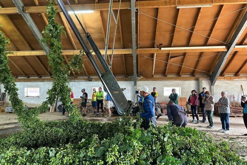 A construction site with a large metal structure, people observing, and greenery. 3