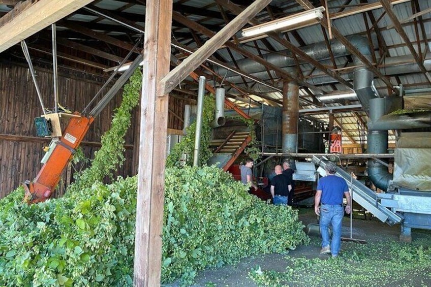 A covered industrial area with machinery, a large pile of green foliage, and people working. 2