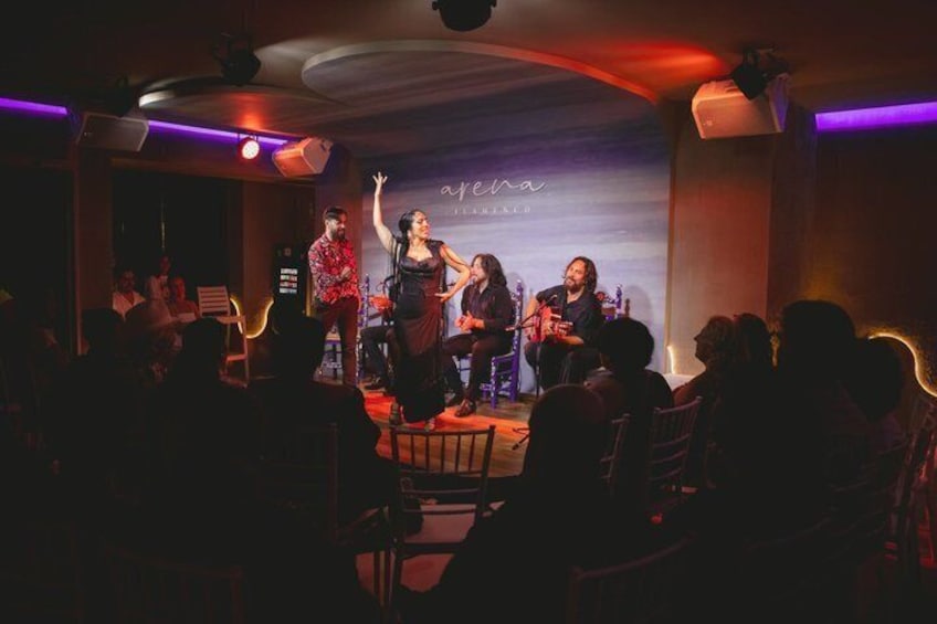 Live flamenco show at Arena Flamenco Almuñécar 5