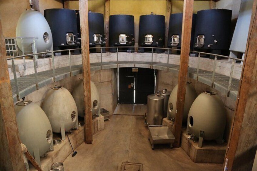 Tour Wineries From the Grape to the Cup 3