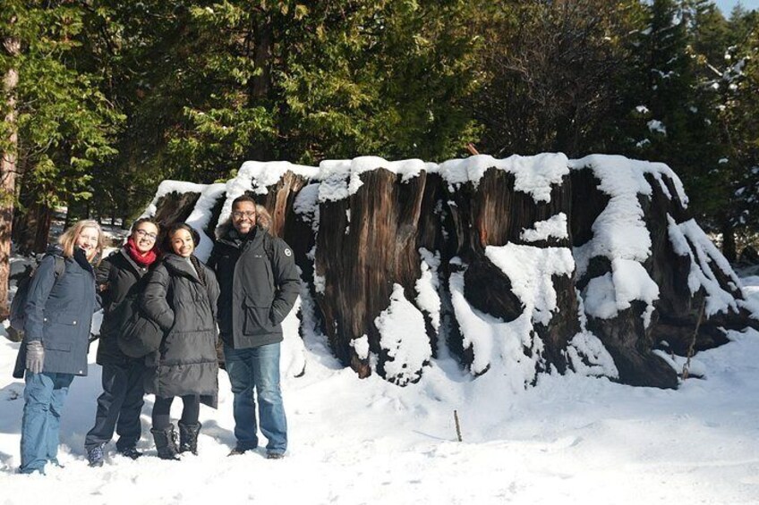 A group of people standing in front of a snow-covered tree. 1