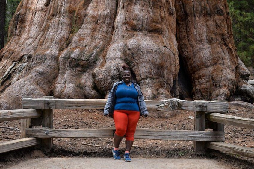 A person standing in front of a large tree with a wooden fence. 2