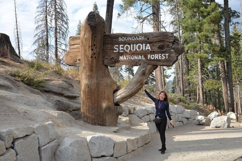 A wooden signpost with the text 'BOUNDARY SEQUOIA NATIONAL FOREST' and a person standing beside it. 2