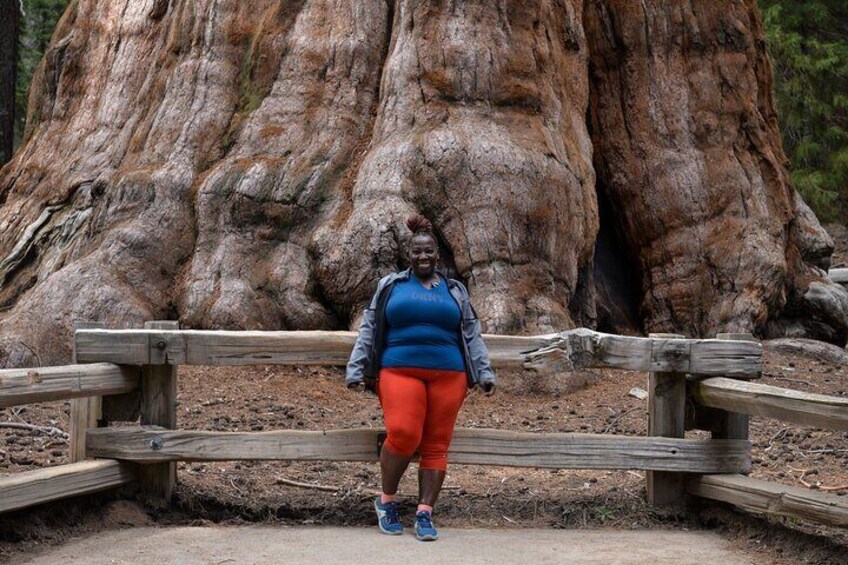 A person standing in front of a large tree with a wooden fence. 3
