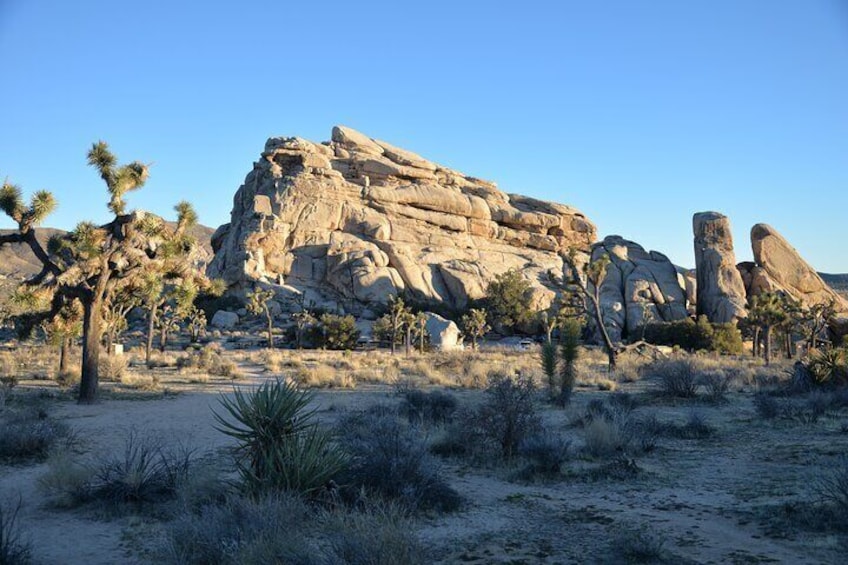 A desert landscape with prominent rock formations, Joshua trees, and sparse vegetation. 1