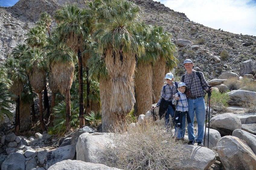 A group of people hiking in a rocky area with palm trees. 3