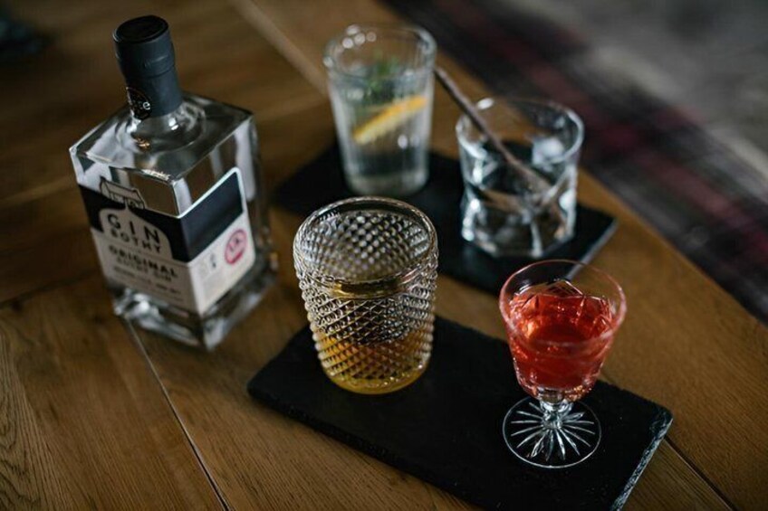 Classic Gin Bothy Tasting in Glamis 1