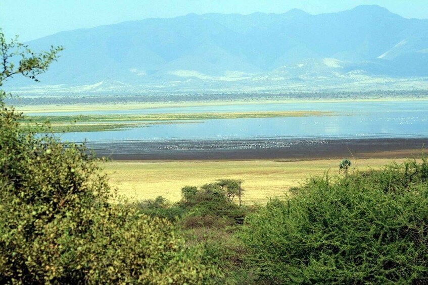 A landscape with a large body of water, a flat terrain, and distant mountains. 4