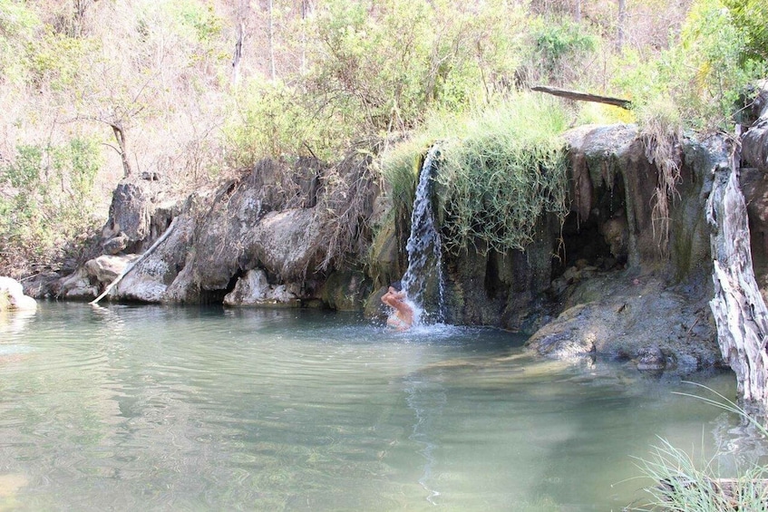 A waterfall in a forested area with a person swimming in the water. 2