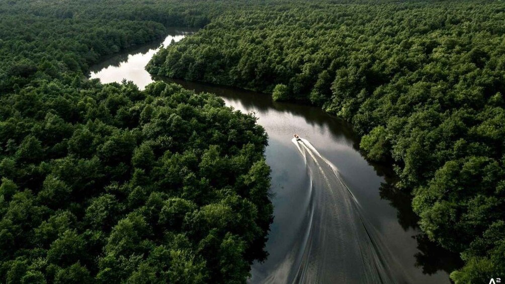 A river winding through a dense forest. 1