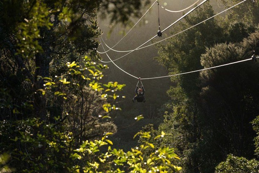 A person suspended in mid-air by a cable, surrounded by dense forest. 5