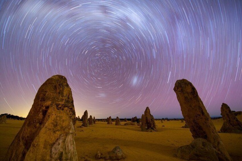 Day Tour from Perth Koalas & Pinnacles Desert Sunset Stargazing 3