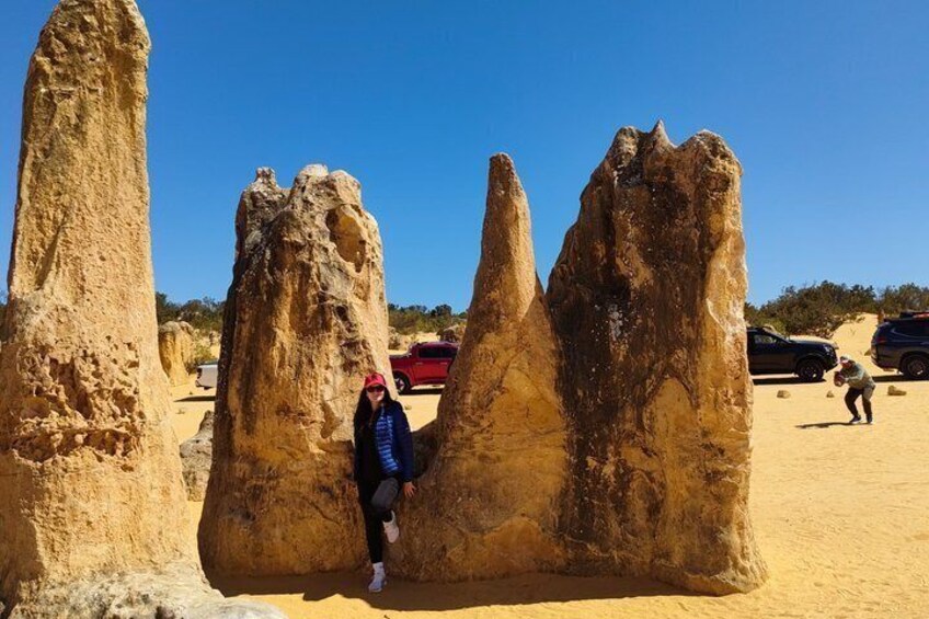 Day Tour from Perth Koalas & Pinnacles Desert Sunset Stargazing 5