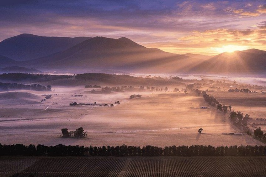 A misty landscape with rolling hills and a sunlit horizon. 3