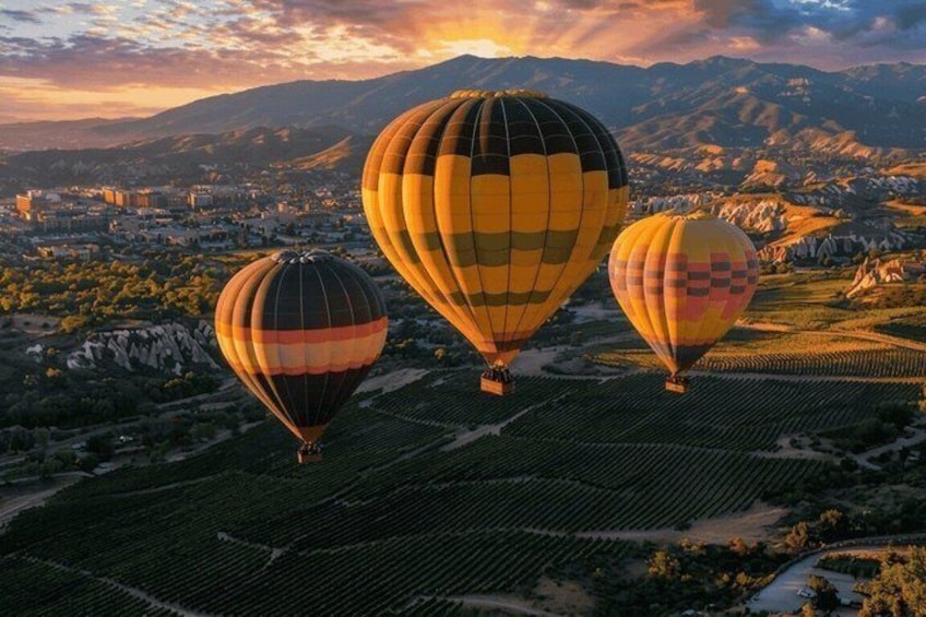 Three hot air balloons over a vineyard with mountains in the background. 1