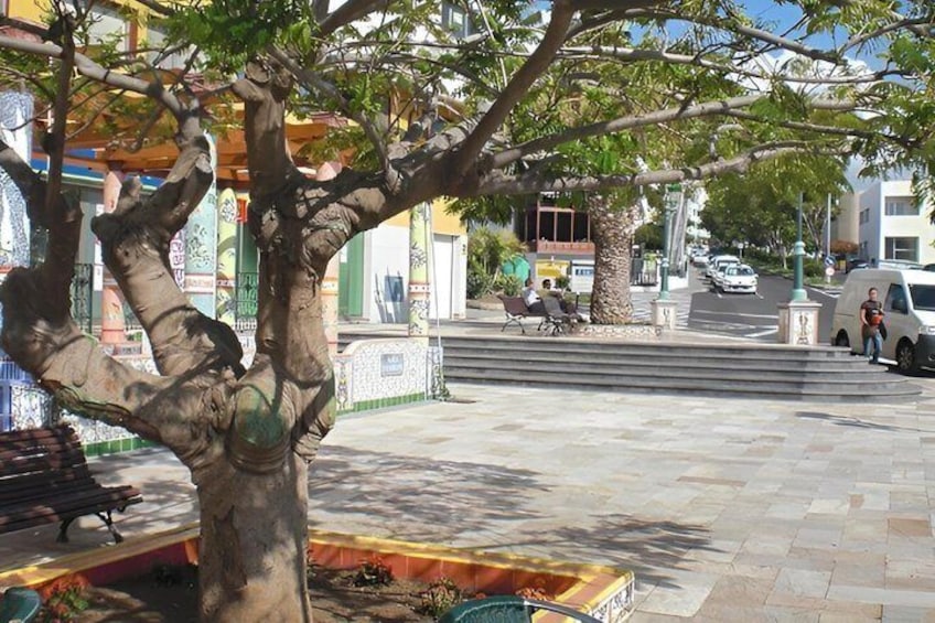 A tree-lined street with benches, a van, and buildings in the background. 4