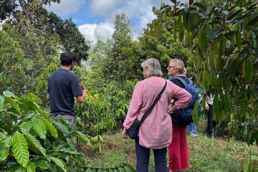Buon Ma Thuot to Lak Coffee Village by Scooter with Local Guide 1