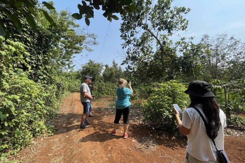 Buon Ma Thuot to Lak Coffee Village by Scooter with Local Guide 2